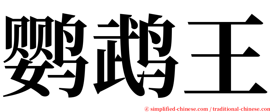 鹦鹉王 serif font