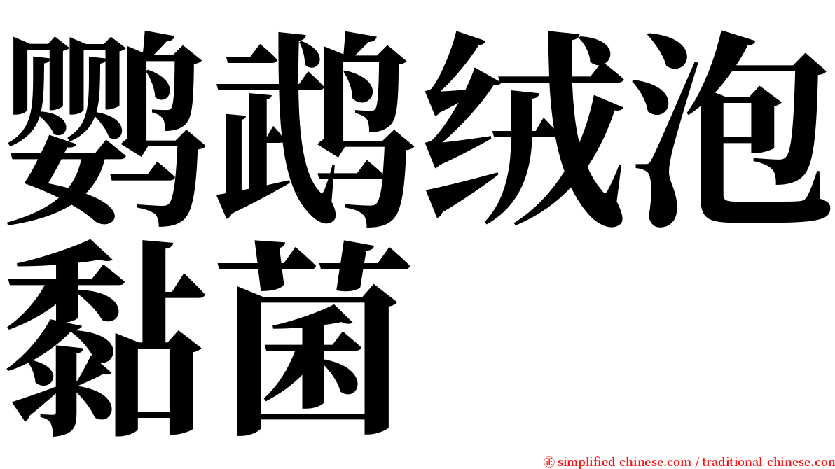 鹦鹉绒泡黏菌 serif font