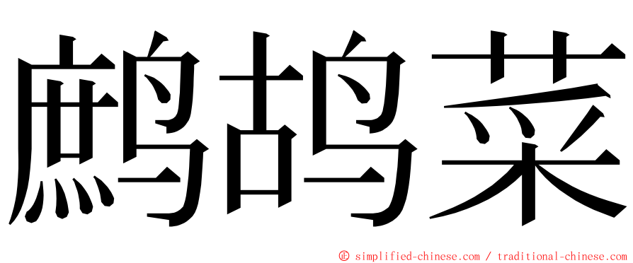 鹧鸪菜 ming font