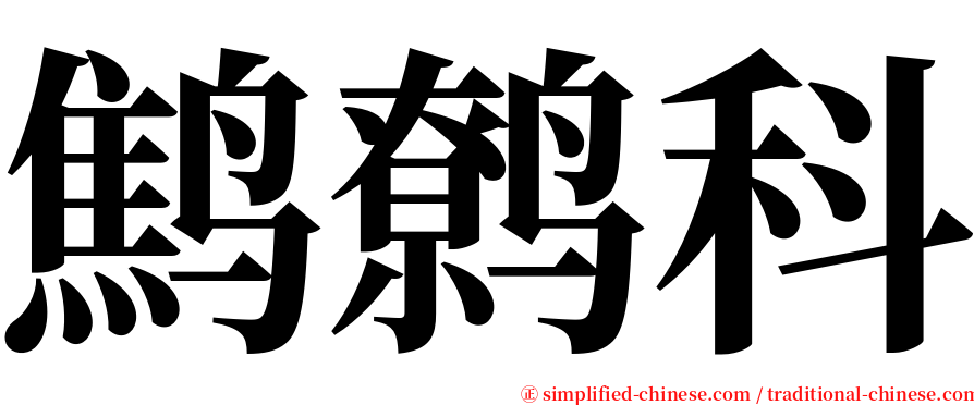 鹪鹩科 serif font