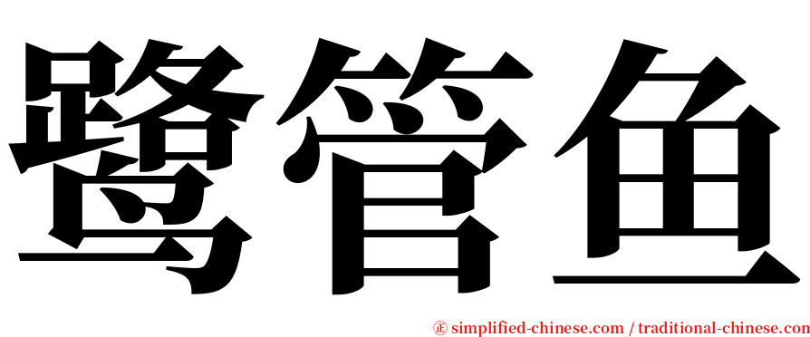 鹭管鱼 serif font