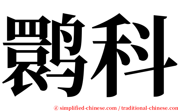 鹮科 serif font