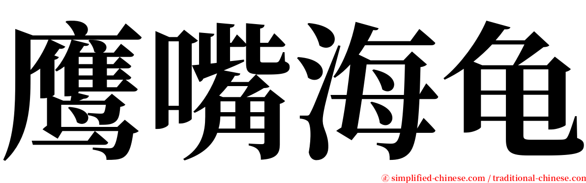 鹰嘴海龟 serif font