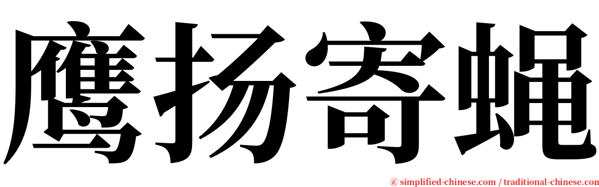 鹰扬寄蝇 serif font