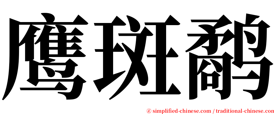 鹰斑鹬 serif font