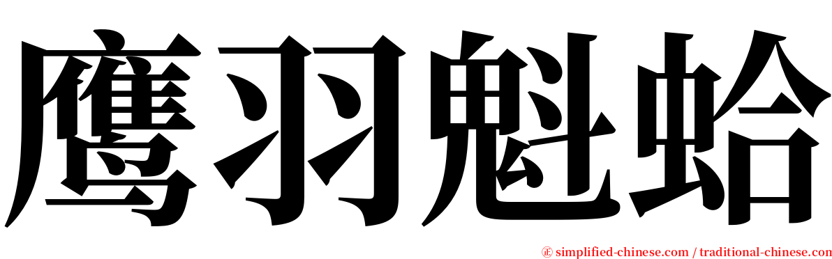 鹰羽魁蛤 serif font