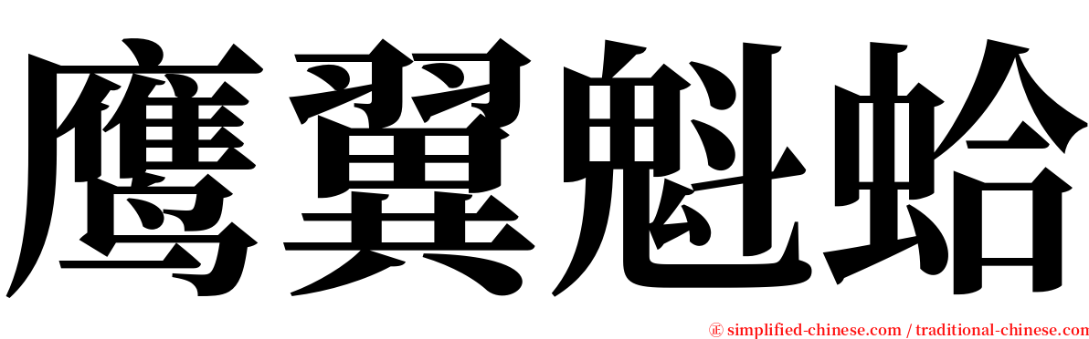 鹰翼魁蛤 serif font