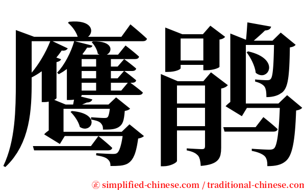 鹰鹃 serif font