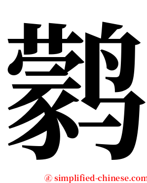 鹲 serif font