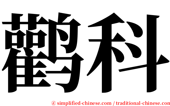 鹳科 serif font