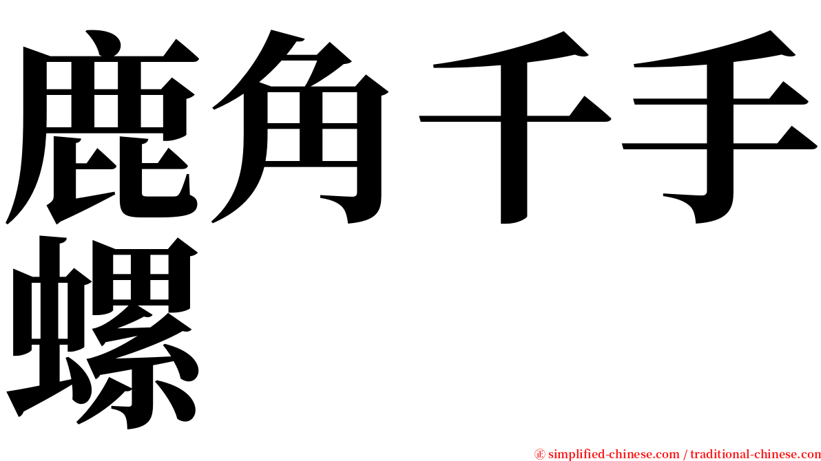 鹿角千手螺 serif font