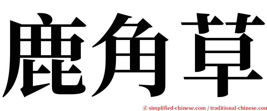 鹿角草 serif font