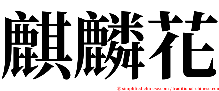 麒麟花 serif font