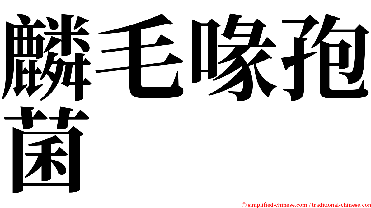 麟毛喙孢菌 serif font