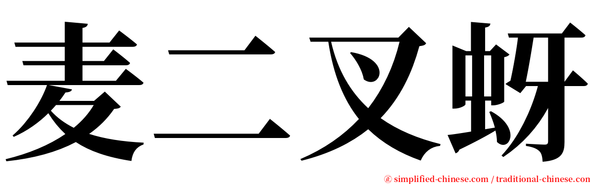 麦二叉蚜 serif font