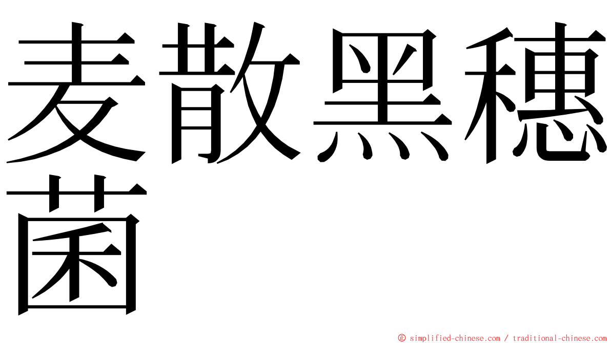 麦散黑穗菌 ming font