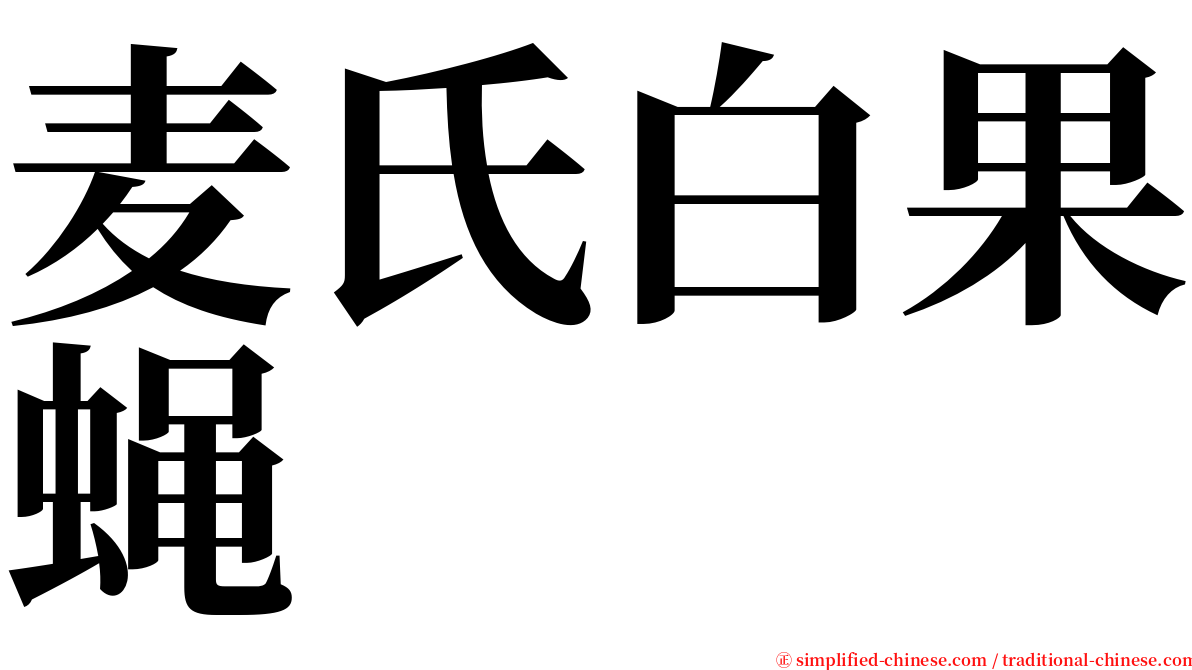 麦氏白果蝇 serif font