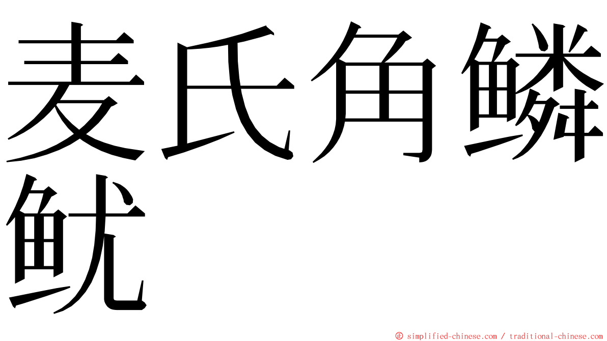 麦氏角鳞鱿 ming font