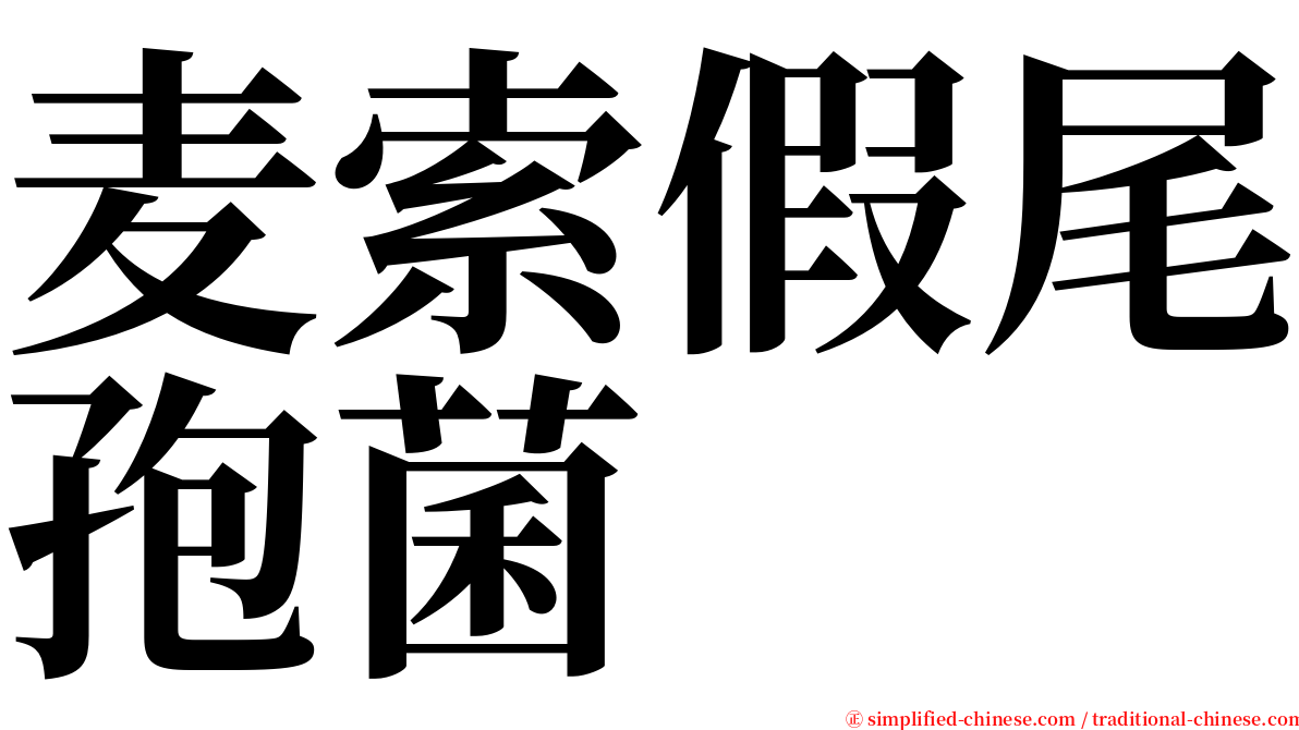 麦索假尾孢菌 serif font