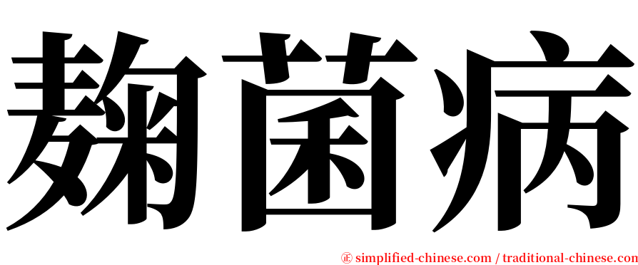 麹菌病 serif font