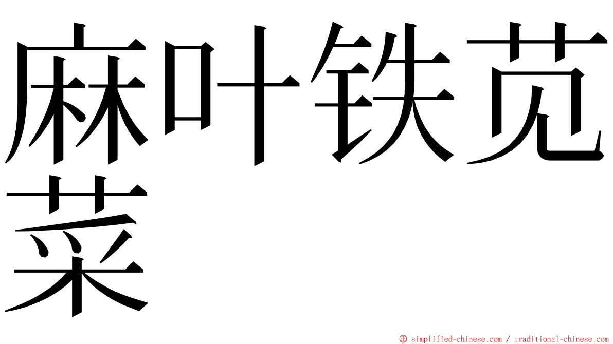 麻叶铁苋菜 ming font