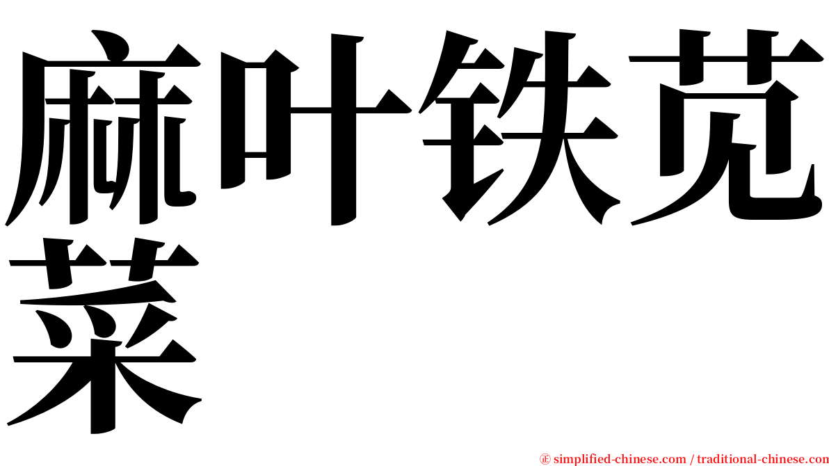 麻叶铁苋菜 serif font