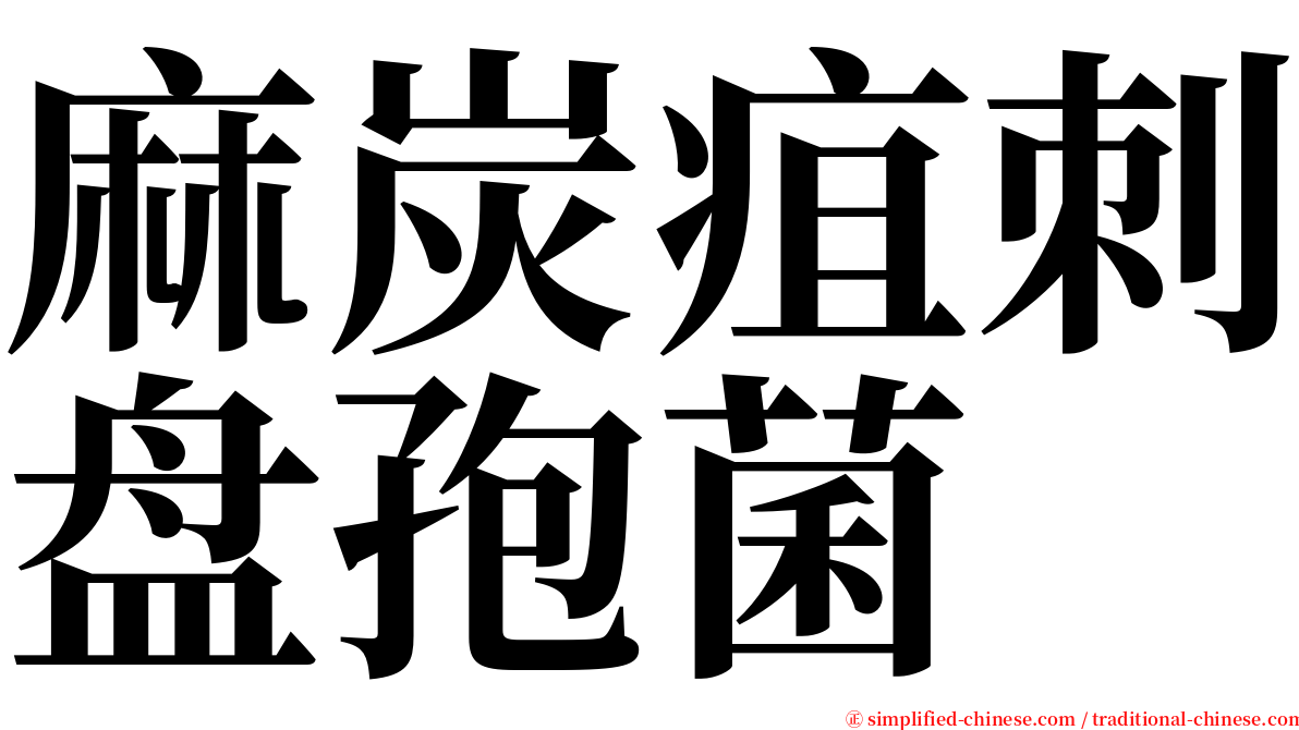 麻炭疽刺盘孢菌 serif font