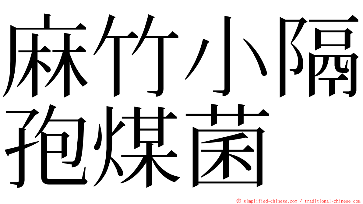 麻竹小隔孢煤菌 ming font