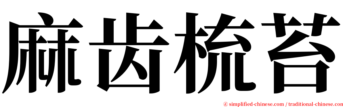 麻齿梳苔 serif font