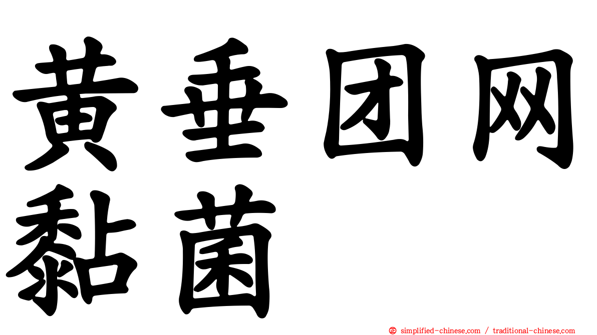 黄垂团网黏菌
