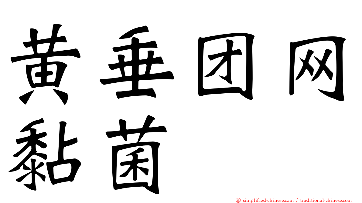 黄垂团网黏菌