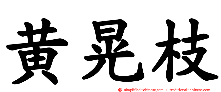 黄晃枝
