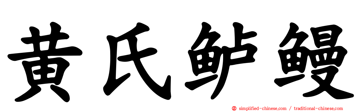 黄氏鲈鳗