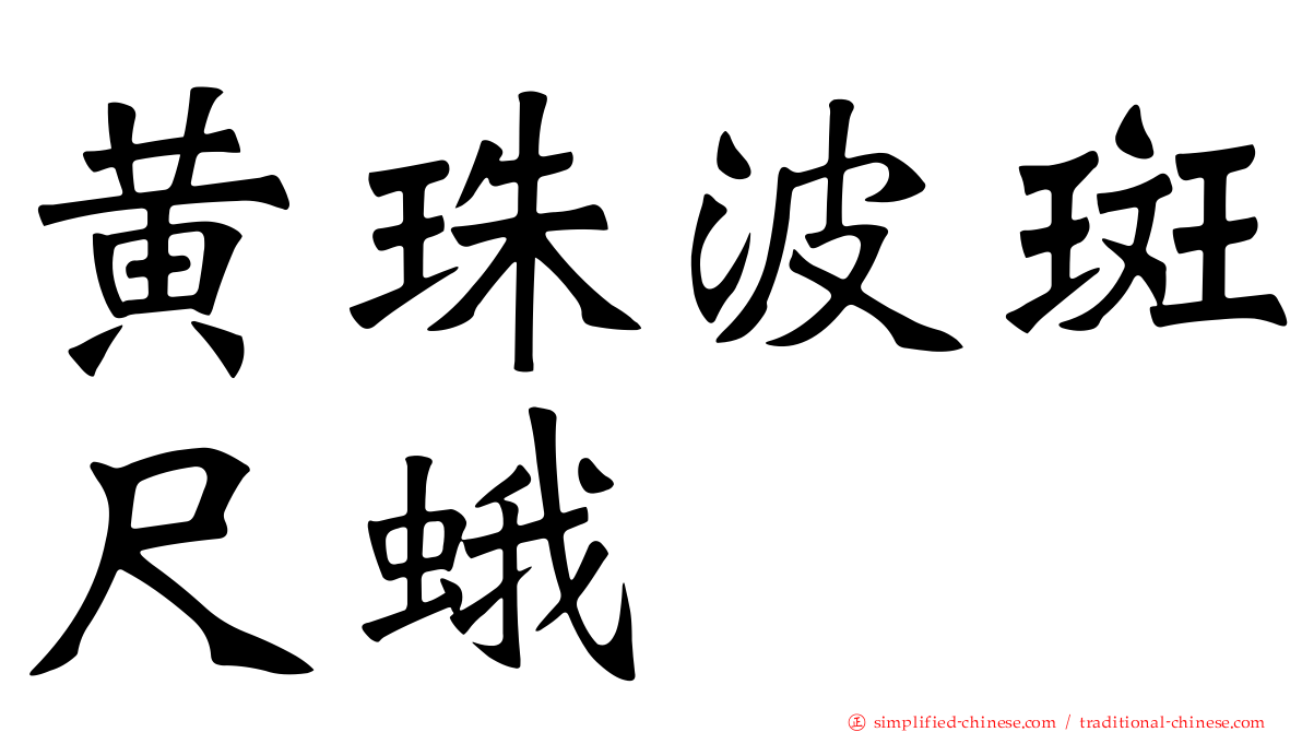 黄珠波斑尺蛾