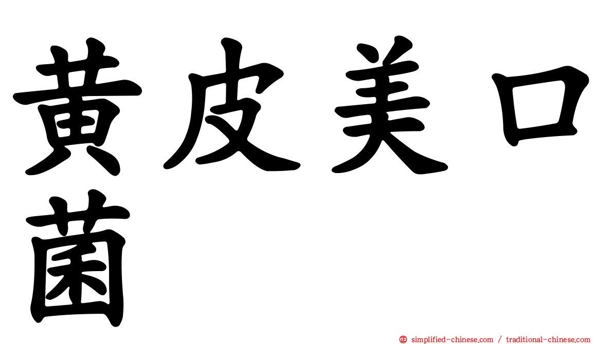 黄皮美口菌