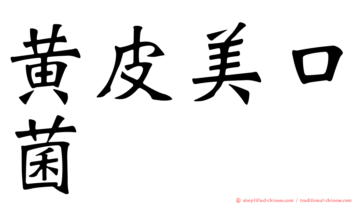 黄皮美口菌