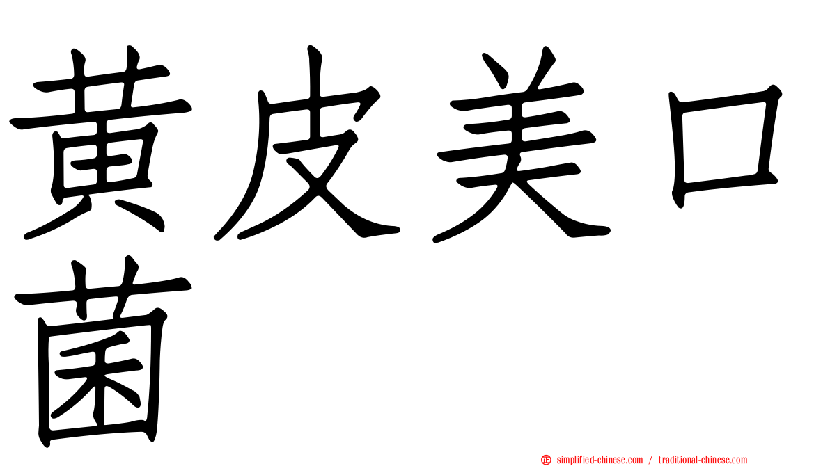 黄皮美口菌