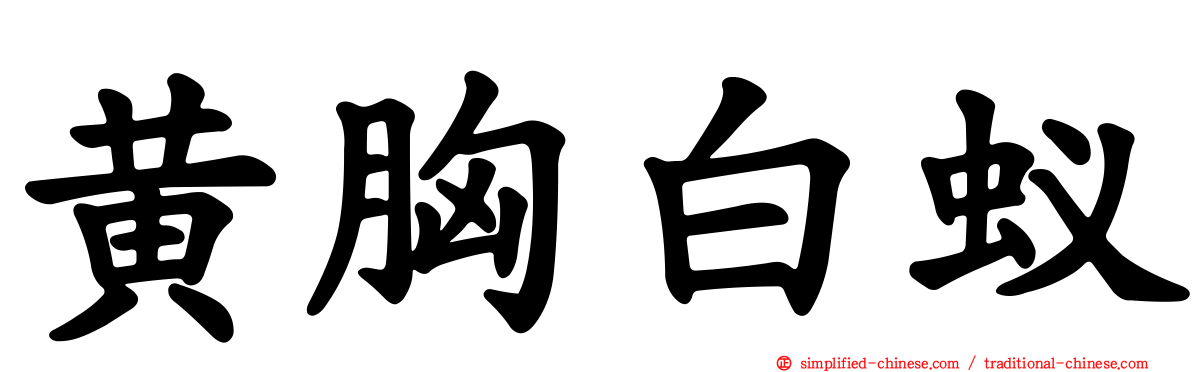 黄胸白蚁