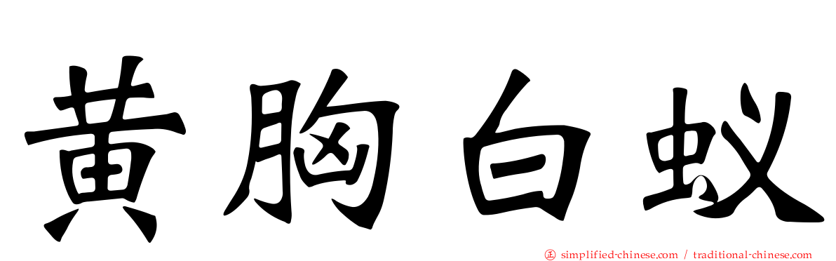 黄胸白蚁