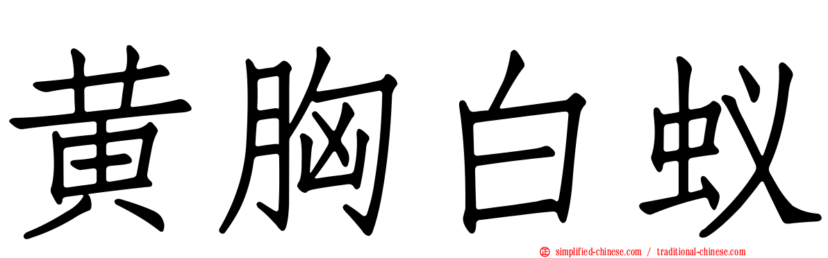 黄胸白蚁