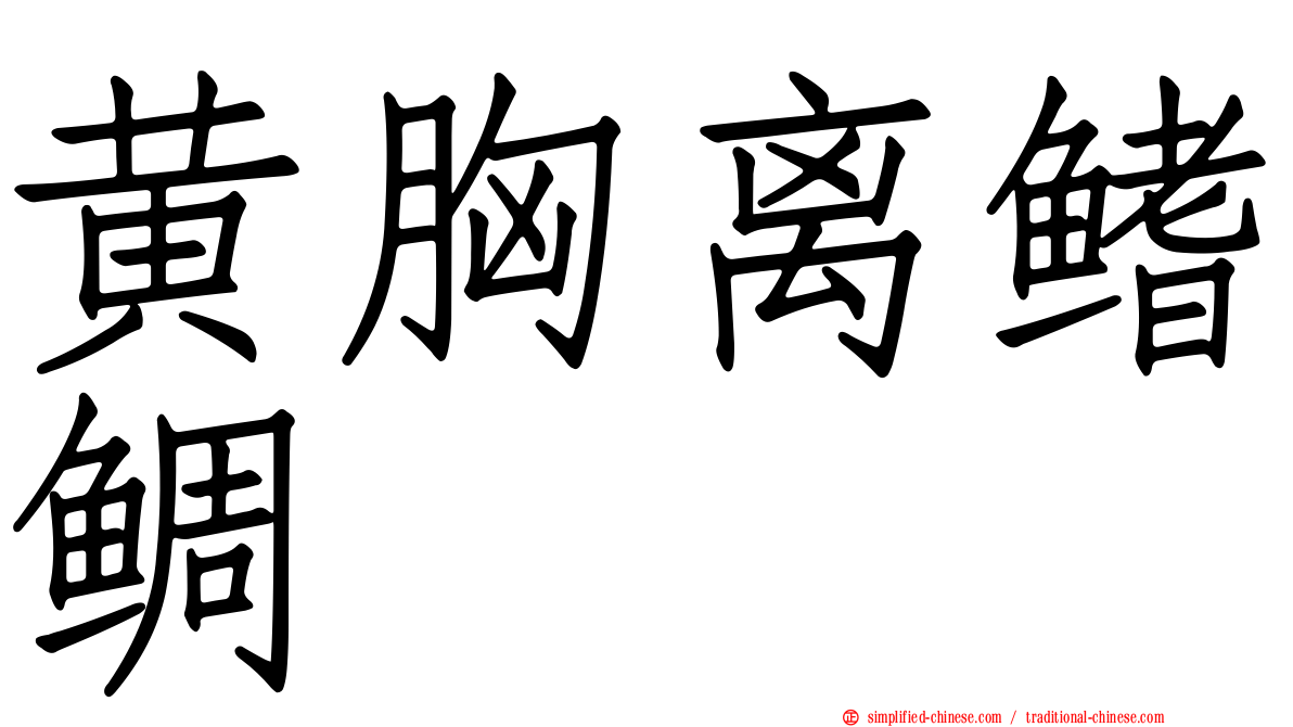 黄胸离鳍鲷