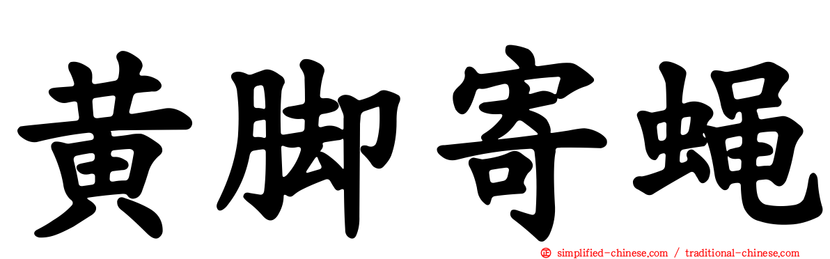 黄脚寄蝇