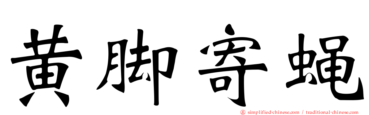 黄脚寄蝇
