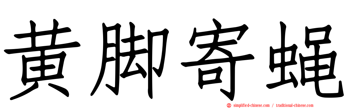 黄脚寄蝇
