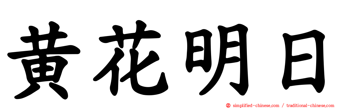 黄花明日