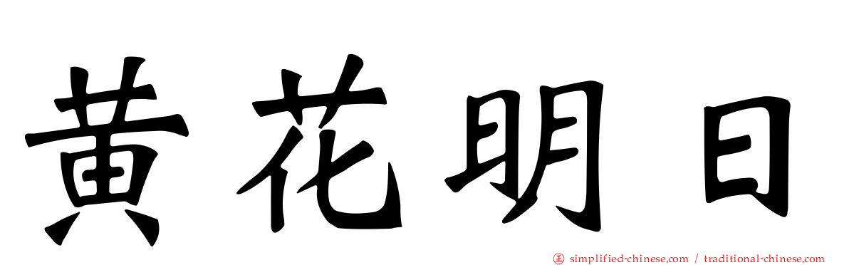 黄花明日