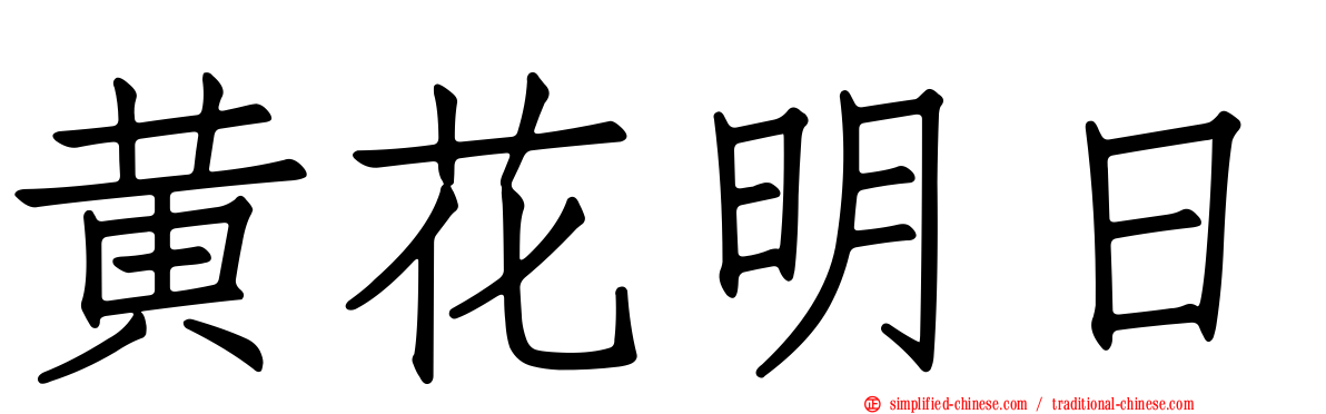 黄花明日