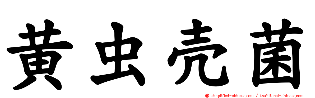 黄虫壳菌