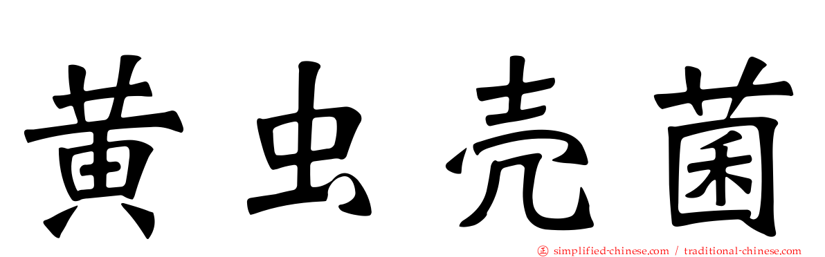 黄虫壳菌