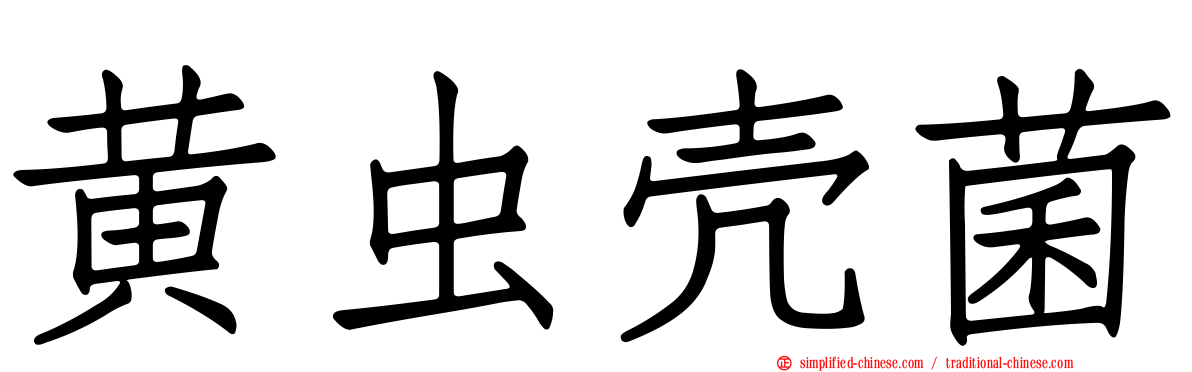 黄虫壳菌